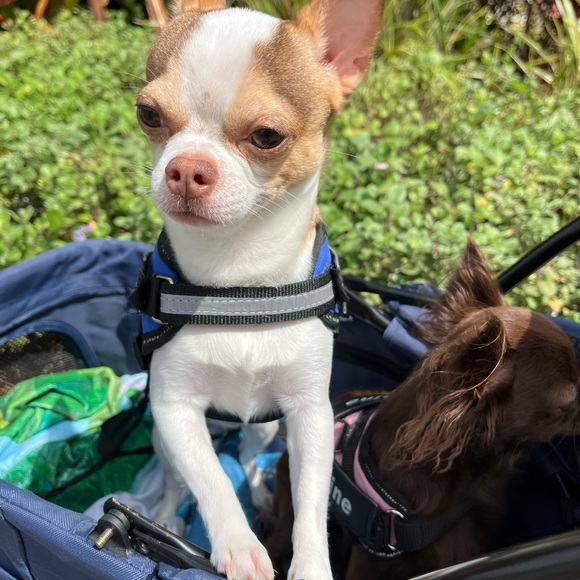 KMSCTE - Picture 5 of 14